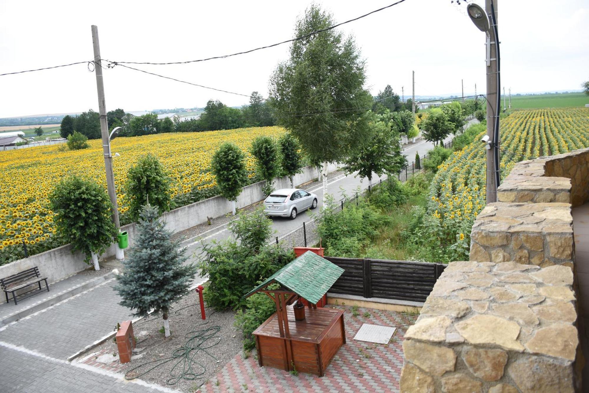 Royal Castle Otel Pascani Dış mekan fotoğraf